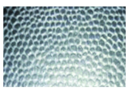 TAPIS MARTELE & TAPIS GRANULE